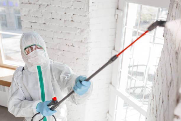 Best Mold-Related Health Consultation  in Lavallette, NJ