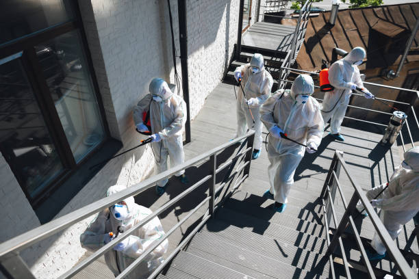 Best Commercial Mold Inspection  in Lavallette, NJ