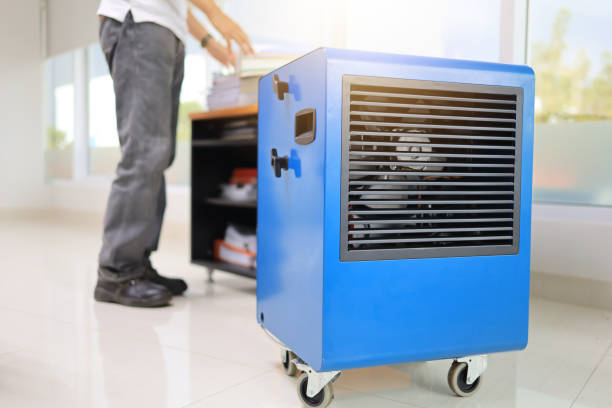 Mold Remediation for Vacation Homes in Lavallette, NJ