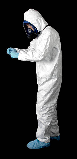 Reliable Lavallette, NJ Mold Removal Solutions