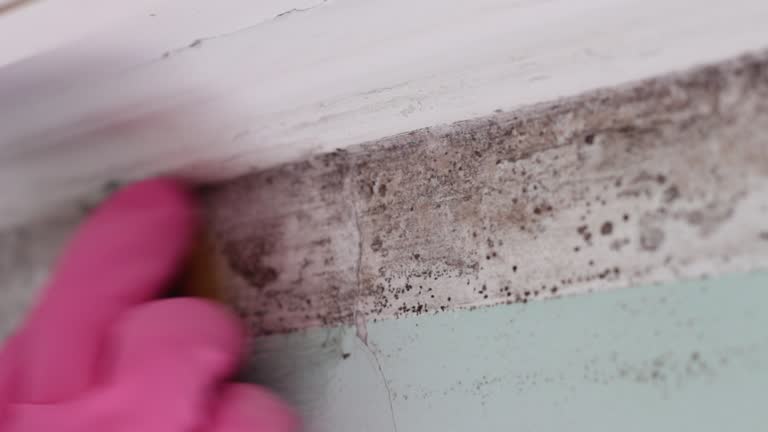 Forensic Mold Investigation in Lavallette, NJ